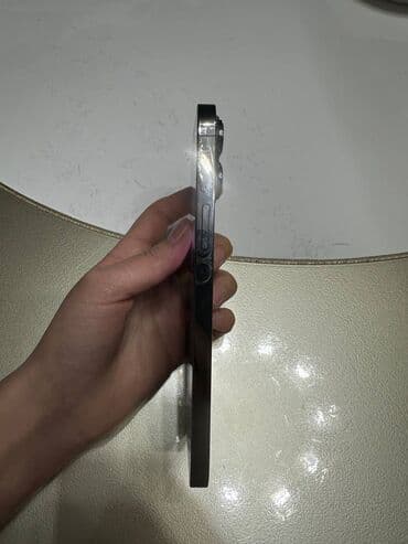 айфон 12 про мини: IPhone 13 Pro Max, 512 ГБ, Space Gray — 4