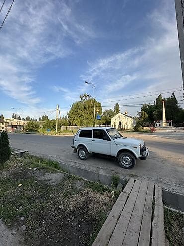 ВАЗ (ЛАДА) 4x4 Нива: 2009 г., 1.7 л, Механика, Бензин, Внедорожник