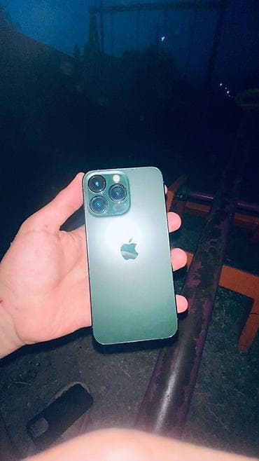 монитор с камерой заднего вида: IPhone 13 Pro, Alpine Green, Чехол — 4