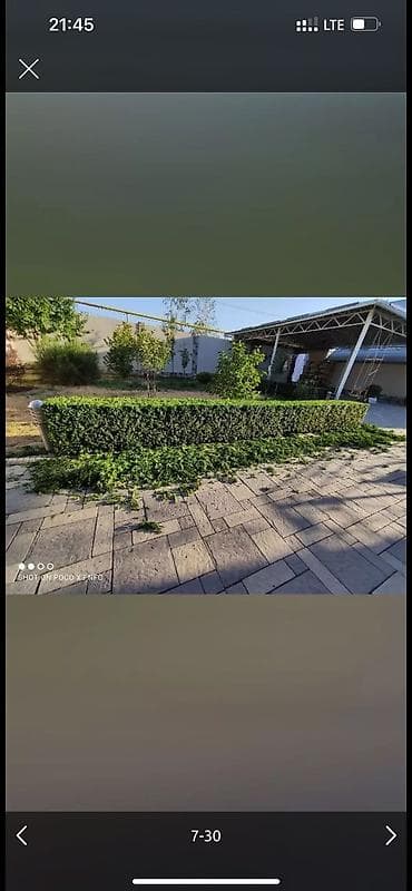 дворник: 🌱Я Садовник Стрижка Живой изгородь,самшит,Туи,хвойные растения, Я — 7