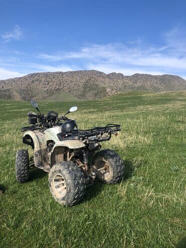 шины и дискы: Квадроцикл Бензин, 200 куб. см, Взрослый — 1