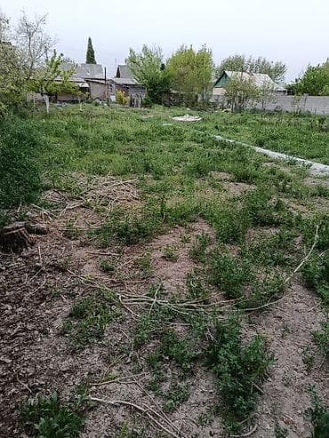 аккорд вагон: 4 соток — 2