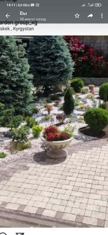 камни для аквариума: Продажа натуральных декоративных камней для ландшафтного дизайна — 6