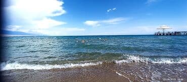 участок сасновка: 8 соток, Бизнес үчүн, Кызыл китеп, Сатып алуу-сатуу келишими — 5