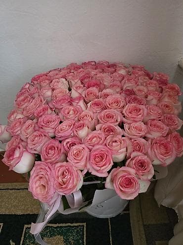 цветы 101 роза: 101 роза, продаю 20.02.26
на оазисе срок 7 дней — 1