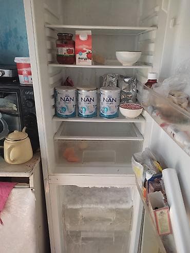 Техника и электроника: Холодильник с нижней морозильной камерой - Двухкамерная конструкция — 3