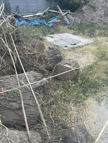 кухонное кресло: Дрова — 2
