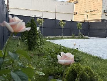 Гарнитуры для прихожей: Сдаю дом от собственника в районе жилой массив Колмо. 2 спальни, зал — 8