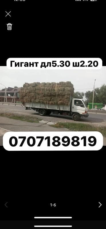 Грузоперевозки по городу и по регионам Грузоподемность 5 тонн Длина