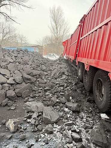 баран живой: Каменный уголь фракции “орех/крупный”. Описание: - Натуральный — 3