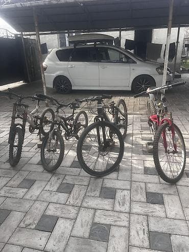 single speed: Велосипеды — 3