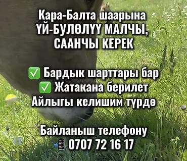 Требуется Пастух, Оплата: Сдельная