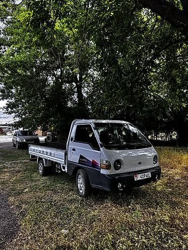 будка ремонт: Легкий грузовик, Hyundai, Стандарт, Б/у — 1