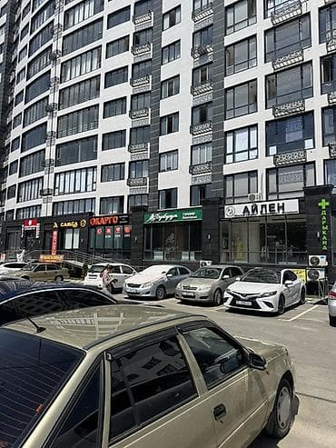 бишкек саат: Продается готовый цветочный бизнес в топовом локации городе Ош Цена — 6