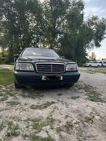 Mercedes-Benz S-Class: 1995 г., 2.9 л, Автомат, Дизель, Седан