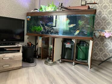 домашние птицы: Продаю внешние фильтра для аквариума Fluval Fx-6 с наполнителем-20000 — 4