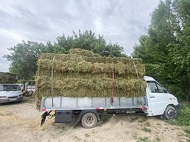 Продаю тюки плотные чоп сатылат доставка бар Сено в тюках - at lalafo.kg Продаю тюки плотные чоп сатылат доставка бар Сено в тюках -
