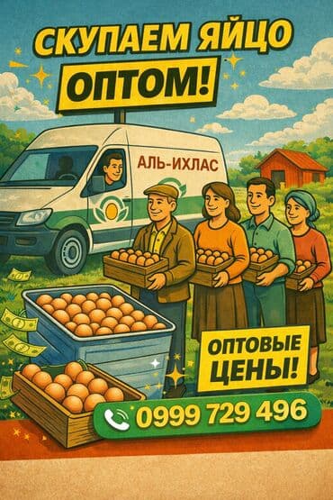 0️⃣ 9️⃣9️⃣9️⃣ 7️⃣2️⃣ 9️⃣4️⃣ 9️⃣6️⃣ 🔔 СКУПАЕМ ЯЙЦО ОПТОМ 🔔 КФХ at lalafo.kg 0️⃣ 9️⃣9️⃣9️⃣ 7️⃣2️⃣ 9️⃣4️⃣ 9️⃣6️⃣ 🔔 СКУПАЕМ ЯЙЦО ОПТОМ 🔔 КФХ
