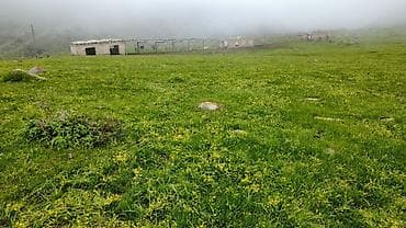 сел: Ферма КРС, 30 соток, Не действующий, Без оборудования, Без коммуникаций — 3