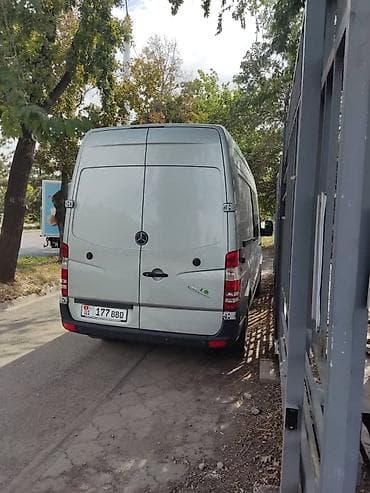 v class: Mercedes-Benz Спринтер: 2007 г. — 9