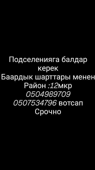 flat kant: 2 комнаты — 1