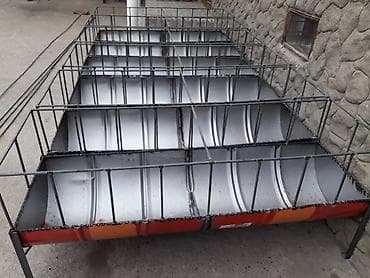 гиссарские бараны: Продаю | Овца (самка), Ягненок, Баран (самец) | Гиссарская, Полукровка, Долан | На забой, Для разведения, Для шерсти | Племенные, Котные, Кастрированные — 9