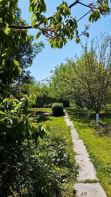 село гроздь дом: Продается дом! Село ленинское, луговое! очень удобное расположение! — 6