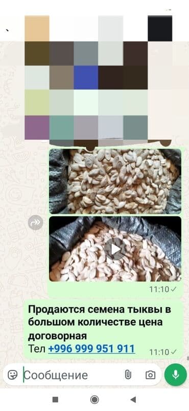 купить семена картофеля в кыргызстане: Семена тыквы оптом - Натуральные тыквенные семечки, очищенные от — 2