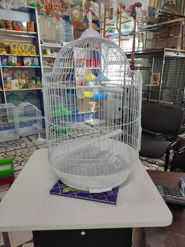 вольер: Вольеры для птиц! — 4