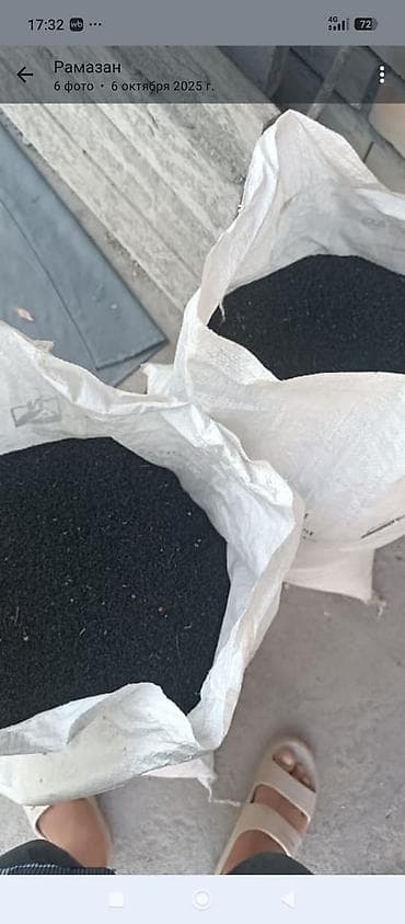 Здоровое питание: Чёрный тмин (Nigella sativa) — очищенные и просушенные семена — 3