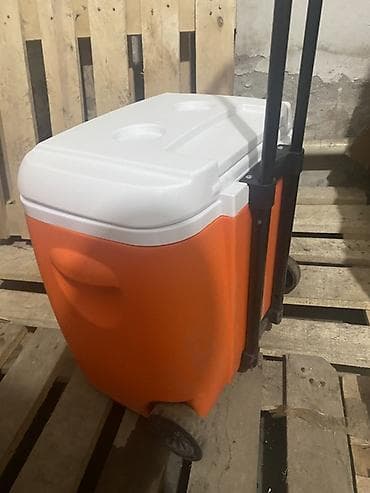 mini refrigerator: Портативный термоконтейнер на колёсах с выдвижной ручкой. - Объем — 5