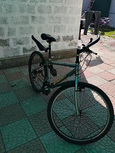 Тоо велосипеди, Велосипед алкагы L (172 - 185 см), Болот — 3