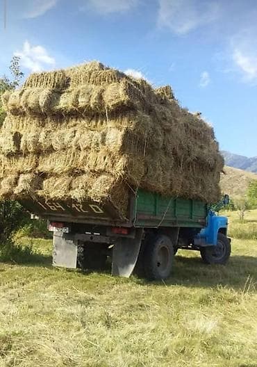 mazda demio: ГАЗ : 1989 г., 4.7 л, Механика, Бензин — 5