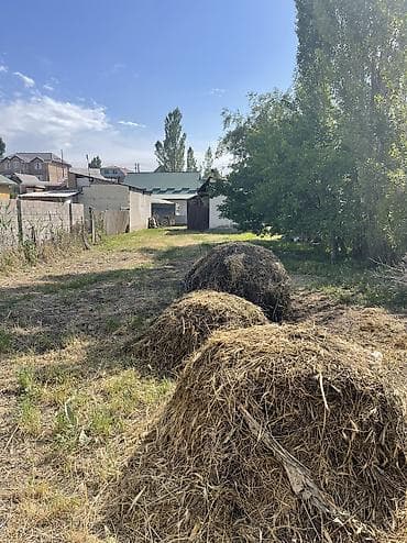 Продажа участков: 4 соток, Для строительства, Красная книга — 6