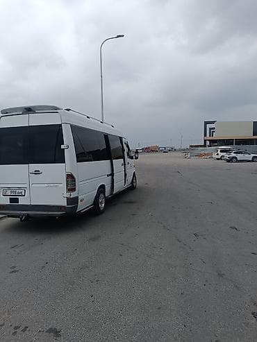 фанера резка: Mercedes-Benz Sprinter — пассажирский микроавтобус повышенной — 10