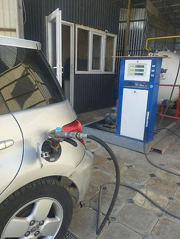 will cypha: Toyota Raum: 2002 г., 1.3 л, Автомат, Газ, Седан — 10