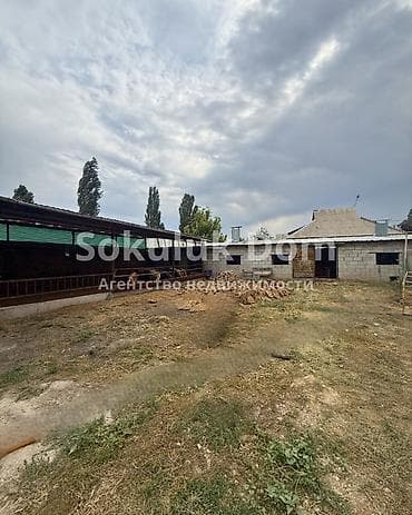 вишня токмок: 6 соток — 2