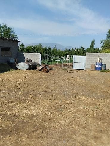 продаю участок люксембург: Дом, 300 м², 10 комнат, Риэлтор — 3