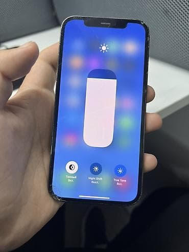 poco x4 pro: IPhone 12 Pro, Б/у, 256 ГБ, Серебристый, Чехол — 6