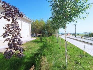 дачи на иссык куле: Коттедж, ASIAPALAC ЦО Карвен 4 сезона, Сары-Ой, Детская площадка, Парковка, стоянка, Охраняемая территория — 8