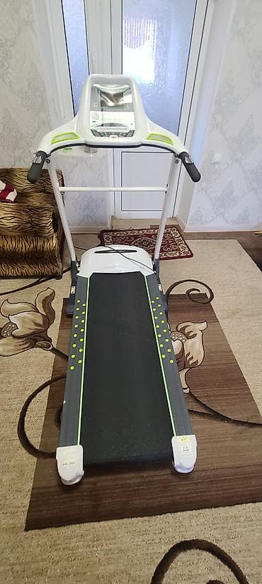 Беговая дорожка электрическая с консолью управления. Характеристики и