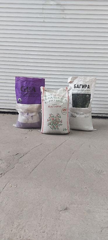 пшеница буудай: Семена кормовых растений: Люцерна — 3