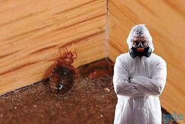 Дезинфекция, дезинсекция, | Клопы, Блохи, Тараканы, | Транспорт, Офисы, Квартиры at lalafo.kg Дезинфекция, дезинсекция, | Клопы, Блохи, Тараканы, | Транспорт, Офисы, Квартиры