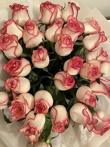 букеты розы: Букет из 31 шт роз 60 см — 1