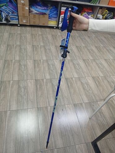 гироскутер бишкек дордой цены: Треккинговые палки, скандинавские палки в спортивном магазине — 1