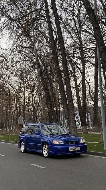 forest: Subaru Forester: 2001 г., 2.5 л, Механика, Бензин, Универсал — 1
