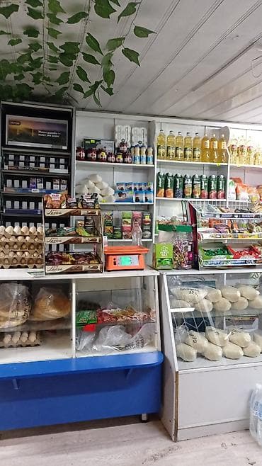 Срочно Готовый Бизнес Магазин+Овощной берилет срочно вложения