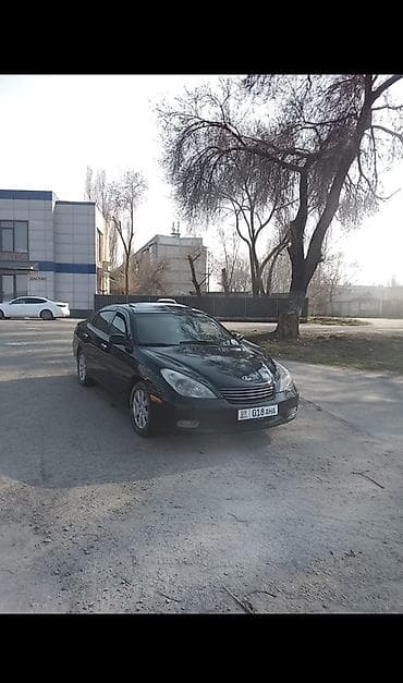Продажа авто: Lexus ES: 2002 г., Бензин, Седан — 2