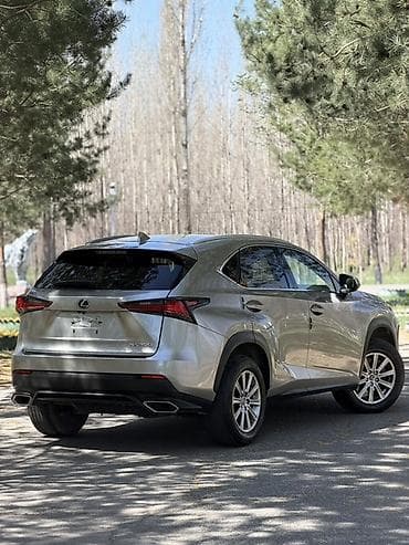 infinity fx35: Lexus NX: 2019 г., 2 л, Автомат, Бензин, Кроссовер — 5