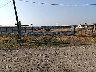 Сниму дом: Продается кошмара с жидым новым домом и всеми удобствами. Большая — 9